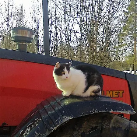 Kemppaalan Maatilalomat Hyrynsalmi Kypara