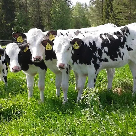 Kemppaalan Maatilalomat Hyrynsalmi Feriegård *